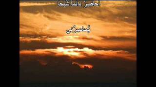 preview picture of video 'Mahmoud Darwich - لا شىء يعجبني محمود درويش'
