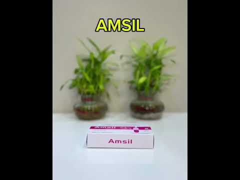 Amsil (arginine(thiamine, lactic acid bacillus  (amsil capsu...