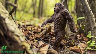 Forget the Paleo Diet and Try the Mioscenic Diet