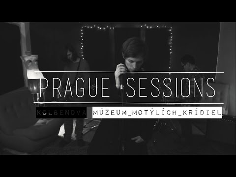 Signály - Muzeum motýlích krídiel (live session)