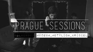 Video Muzeum motýlích krídiel (live session)