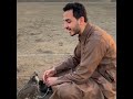 Owl Listening To Tilawat Of Quran MashaAllah Beautiful Voice ️ Shorts