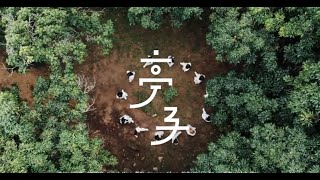 亭子 feat. BUCC // Worship Nations //