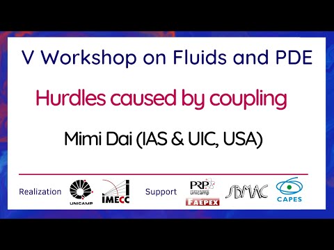 V Workshop on Fluids and PDE - September 29th, 2021 - Mimi Dai