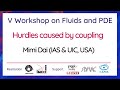V Workshop On Fluids And PDE September 29th 2021 Mimi Dai