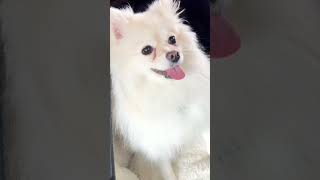 Download lagu #maxi #trending #shortsfeed #viralvideo #ytshorts #trending #shortvideo mp3 Download lagu #maxi #trending #shortsfeed #viralvideo #ytshorts #trending #shortvideo mp3