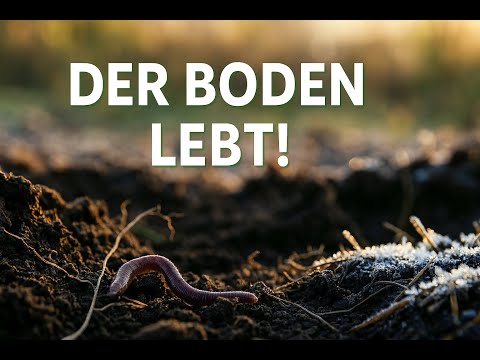 Der Boden lebt! Warum du ihn im Winter nicht stören solltest.