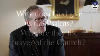 An Interview with Bishop Robert Barron video