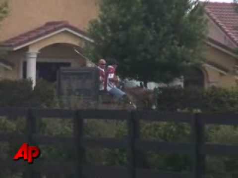 The sudden death of 21 polo horses at a championship event ...