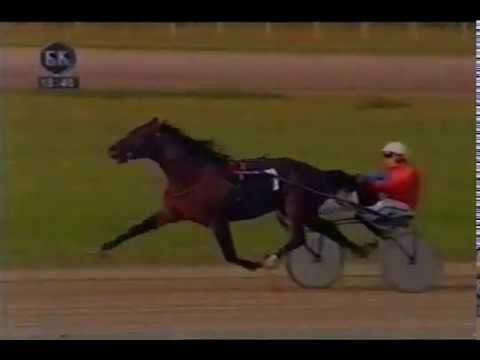 DEN MS 1:15,8 "Kup Sport Line"2200m-Beograd 2003