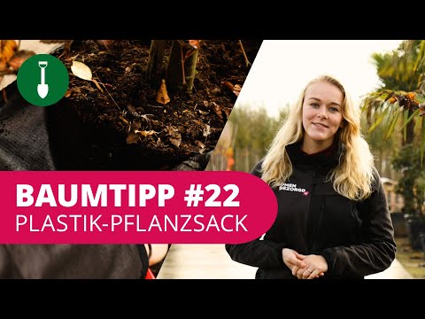 BAUMTIPP #22 | Plastik-Pflanzsack