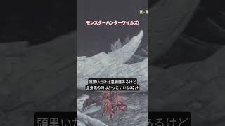 【モンスターハンターワイルズ】全身黒になった時のゾ·シアはかっこいい✨　ショート動画