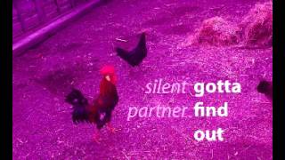 Gotta Find Out - Silent Partner