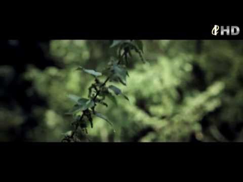 Dee Ho - Im Haschischregen (ZWECKREIMKING - CASPER HOMMAGE)