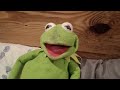 Kermit The Frog Sings Strangers Like Me