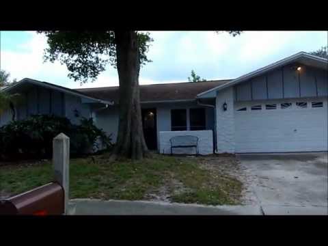 207 Hillcrest Dr Safety Harbor Fl 34695 Beautiful Tampa Bay Home Videos Duncan Duo