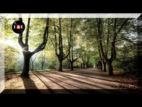 Delicate People Instrumental Version ~ Go For Howell