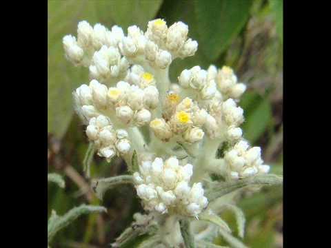 POWER SLAVES - FIND OUR LOVE AGAIN