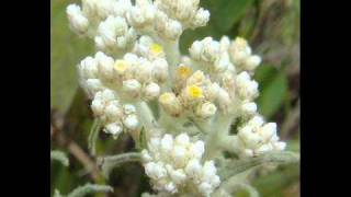 Download lagu POWER SLAVES - FIND OUR LOVE AGAIN mp3 Download lagu POWER SLAVES - FIND OUR LOVE AGAIN mp3