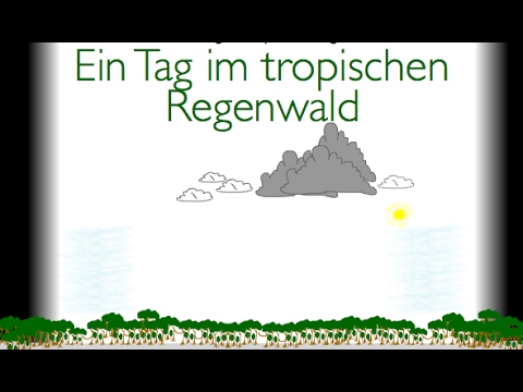 Ein Tag im tropischen Regenwald