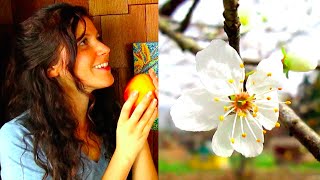 Eating Raw In Winter & Why I Love Spring | 40BelowFruity