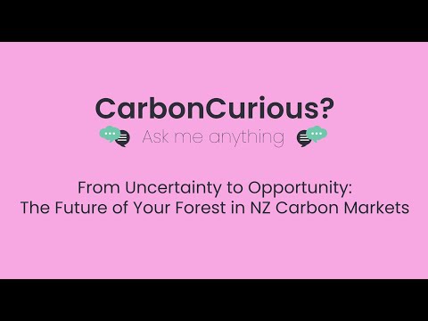 CarbonCurious | From Uncertainty to Opportunity: The Future of Your Forest in NZ Carbon Markets