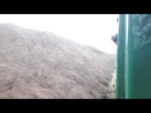 1125, BR Class 205, Alresford to Ropley, 18/02/19