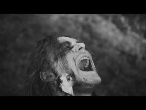 The Baboon Show - Again (Official Video)