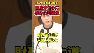 【八幡愛】なぜ財務省主導で米輸入拡大するの？国内生産減少に繋がると言及#八幡愛 #れいわ新選組 #やはた愛 #農水省 #財務省 #輸入米 #米不足 #自民党