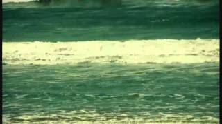 Robin Guthrie Horse Heaven