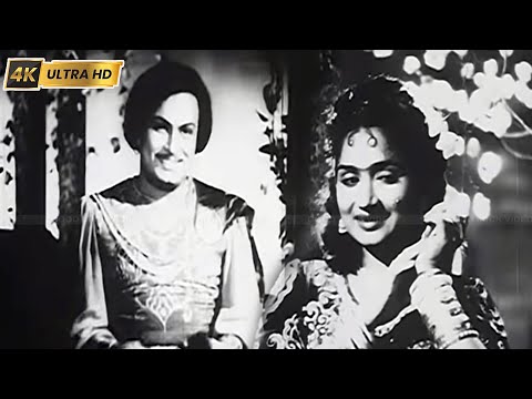 மயக்கும் மாலை பொழுதே நீ போ போ பாடல் | Mayakkum Maalai | Jikki, A. M. Rajah | gulebagavali movie .