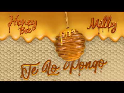 Video thumbnail for Te Lo Pongo