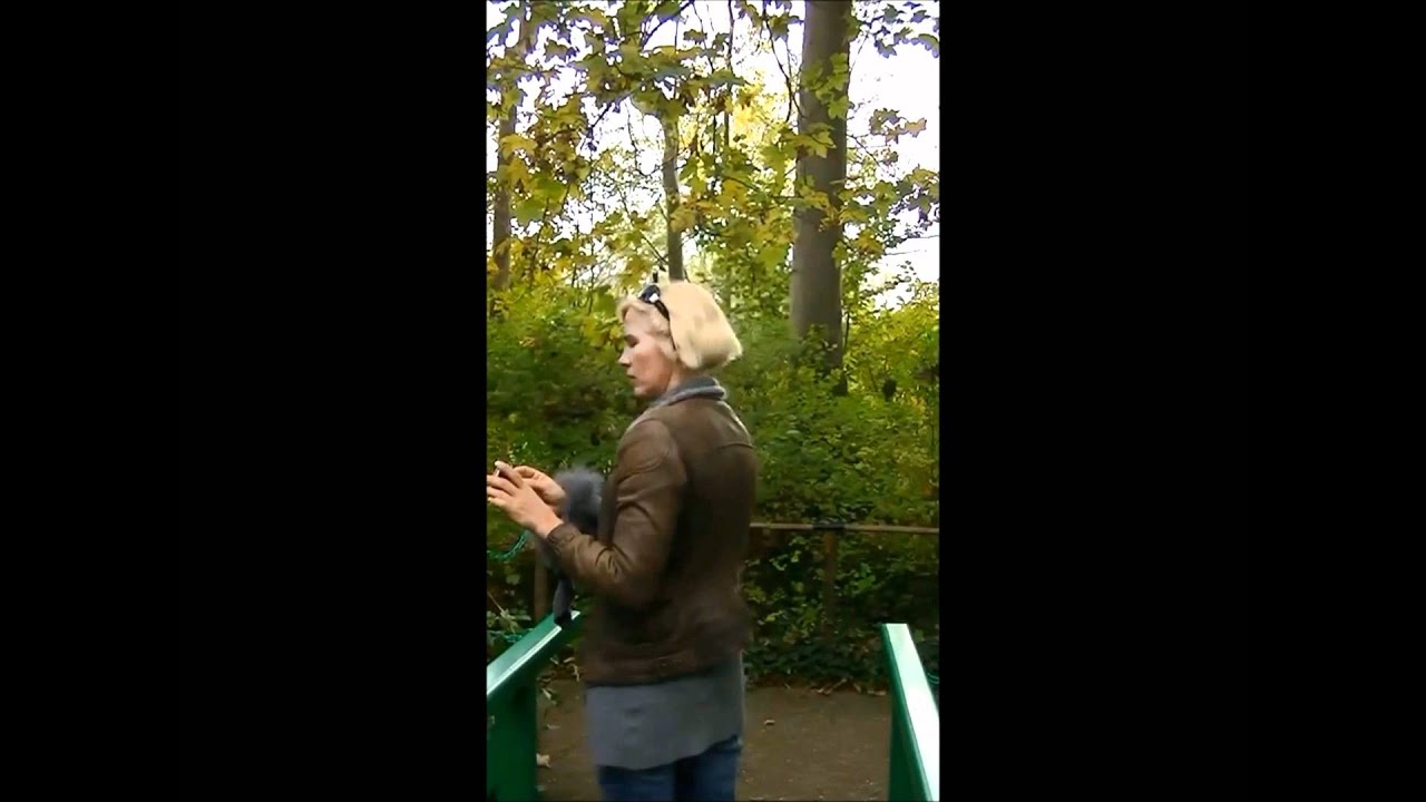 Giverny, une Promenade.