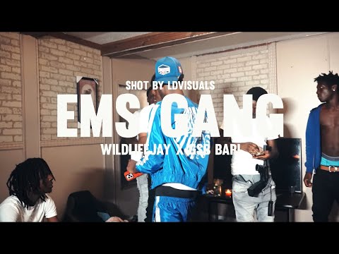 Wildlife Jay X Gsb Bari - EMS GANG