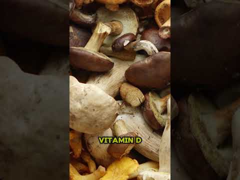 Can Mushrooms Really Absorb Vitamin D #mushrooms