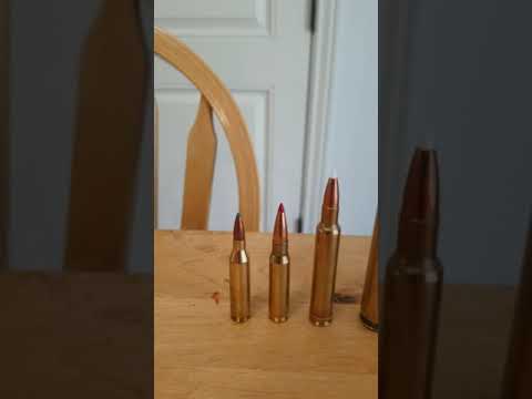 Can you name these hunting cartridges?