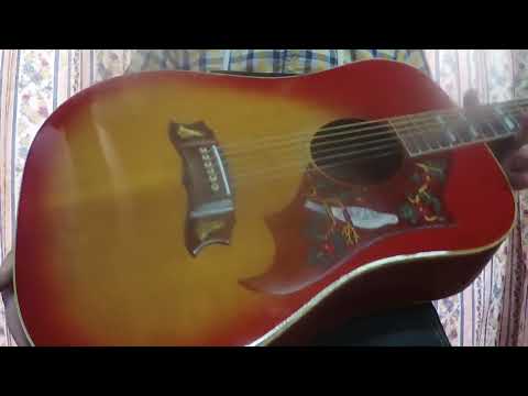 Suzuki W-65HA Dove Style Guitar by Kiso Suzuki Violin '70 Red
