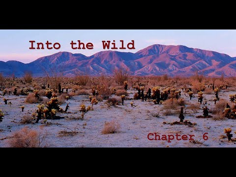 Into the Wild Chapter 6 Summary