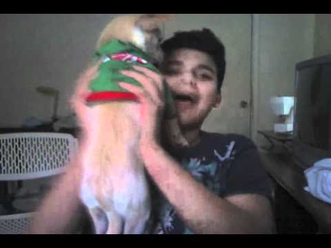 download lagu mp3 mp4 Squrl Ep 1, download lagu Squrl Ep 1 gratis, unduh video klip Squrl Ep 1