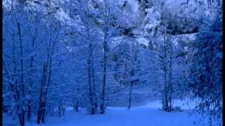 Richard Clayderman - Ave Maria ( Mi Chiquitita Bebe )