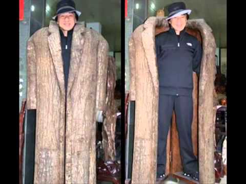 Jackie Chan High Up On High