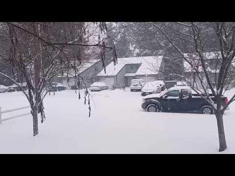 snowing in everett Washington 02/13/2021