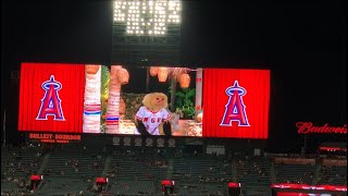 Rally monkey Bachelor in Paradise