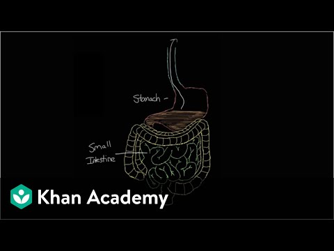 What is gastroenteritis? | Gastrointestinal system diseases | NCLEX-RN | Khan Academy