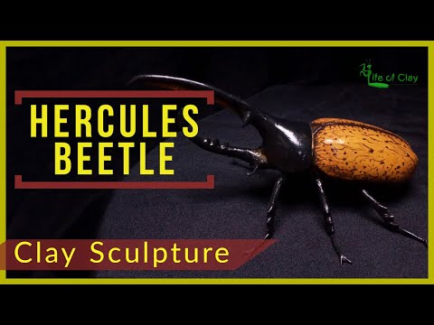 Sculpting Hercules Beetle (Dynastes hercules)_Polymer Clay_LifeofClay