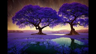 Robert Plant &amp; Alison Krauss - Killin&#39; the Blues