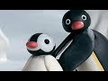 Pingu Capitulo 2