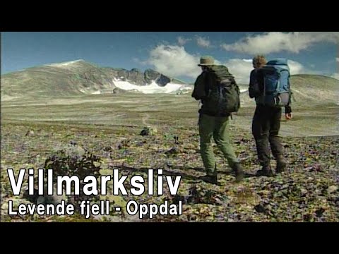Villmarksliv - Levende fjell - Oppdal