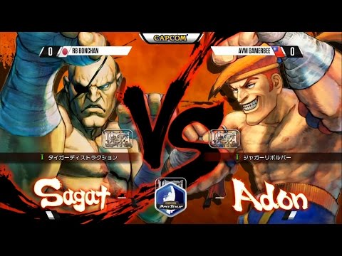 USFIV: RB Bonchan vs AVM Gamerbee - TGS 2015 Top 8 - CPT 2015