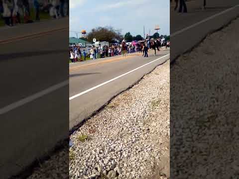 Apple festival in Versailles Missouri.